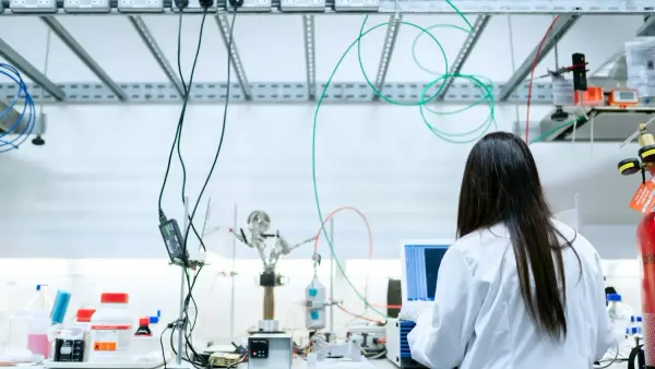 IB Chemistry IA Criteria Explained: