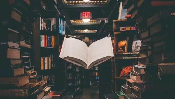 IB English Language and Literature vs IB English Literature: Which Group 1 Subject Should You Choose?