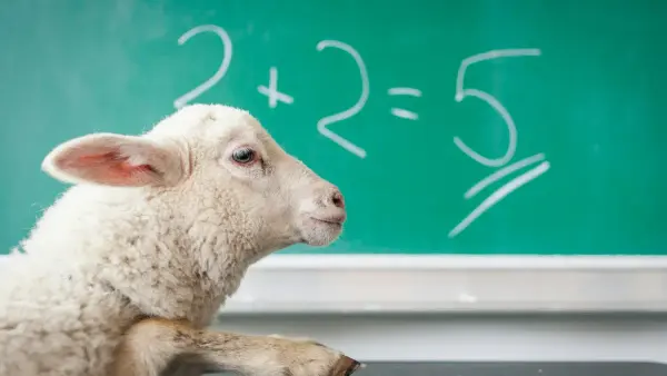 IB Math AI Syllabus & Topics