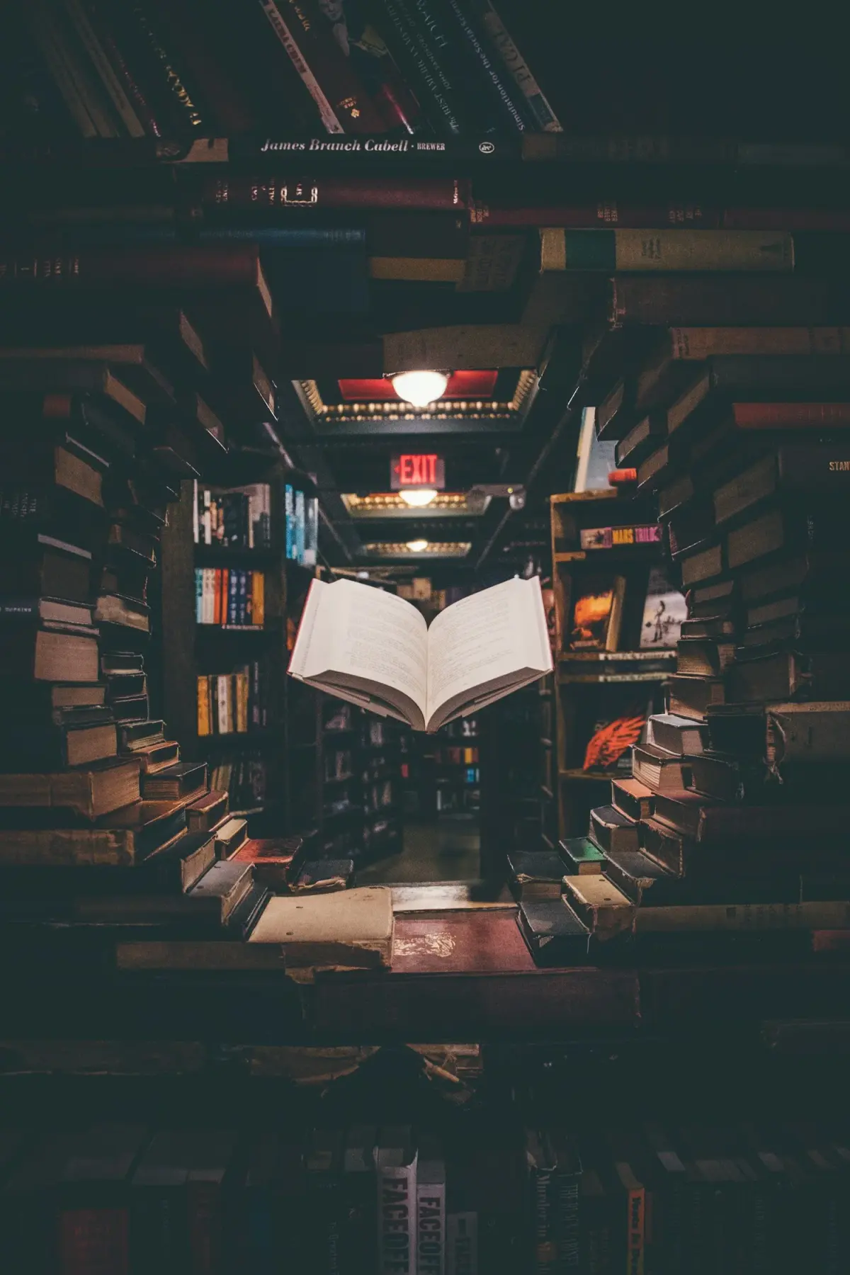 TOK Areas of Knowledge Explained